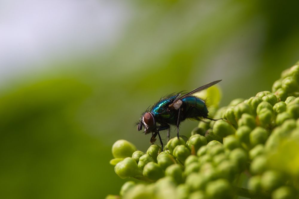 Photograph by Олег Алексеев