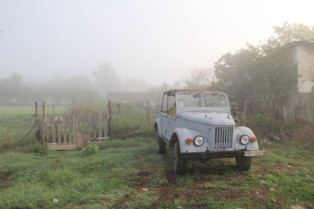 Photograph by Анна Фёдорова