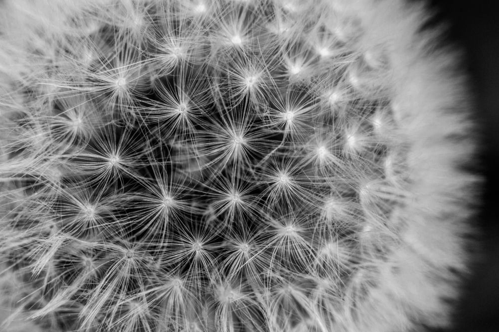 Photograph by Олег Алексеев