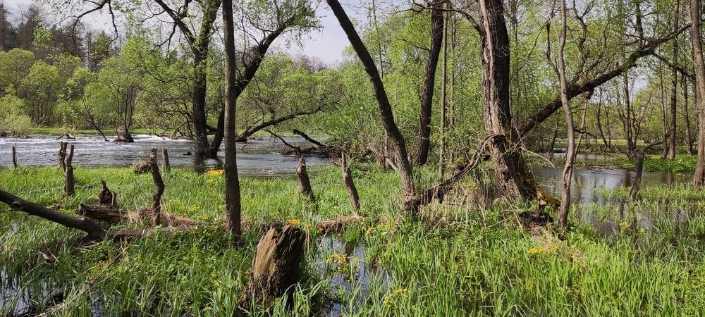 Photograph by Дарья Шевко