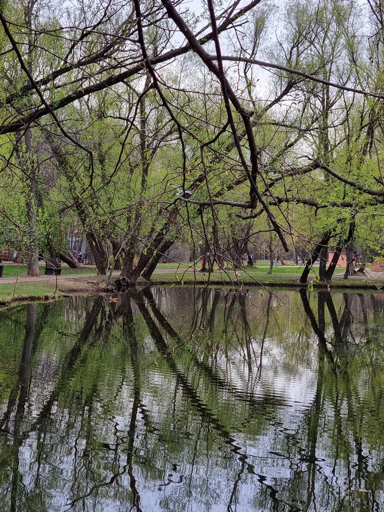 Фотография автора Светлана Алексеева