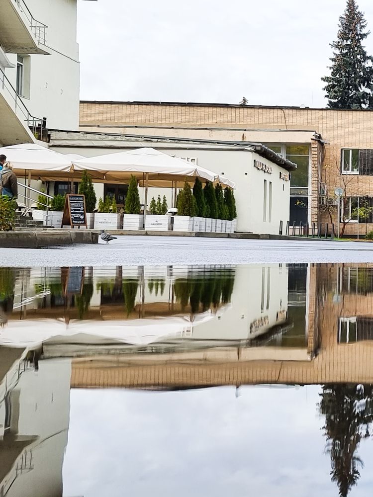 Фотография автора Светлана Алексеева