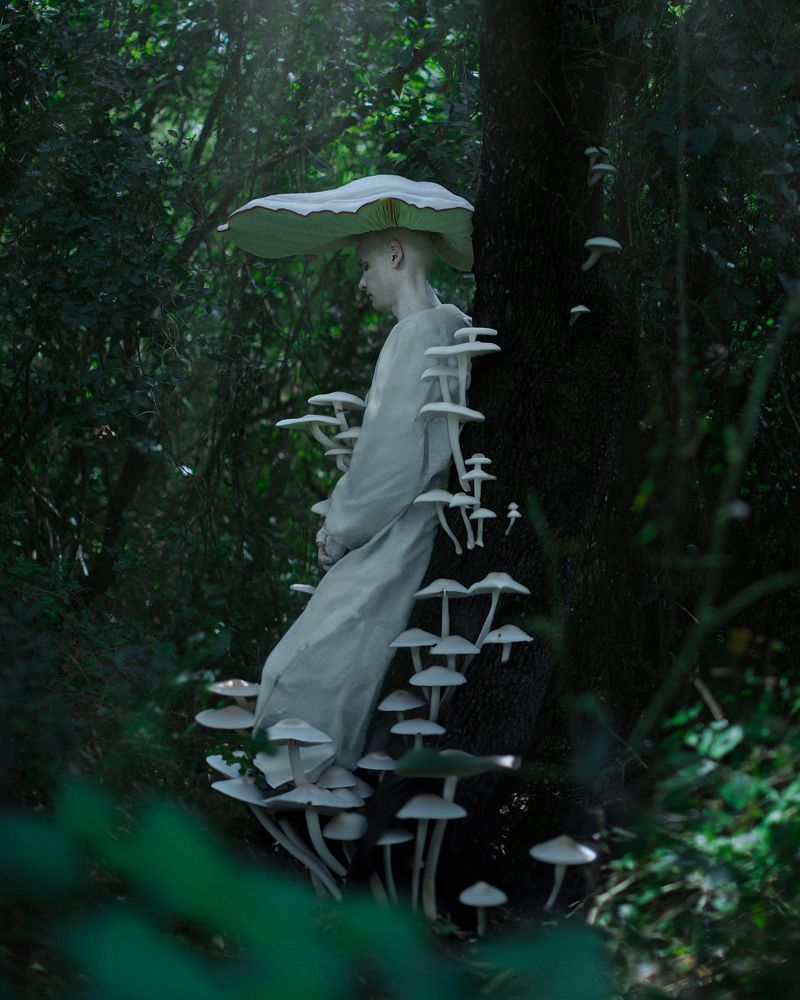 Жизнь-Смерть