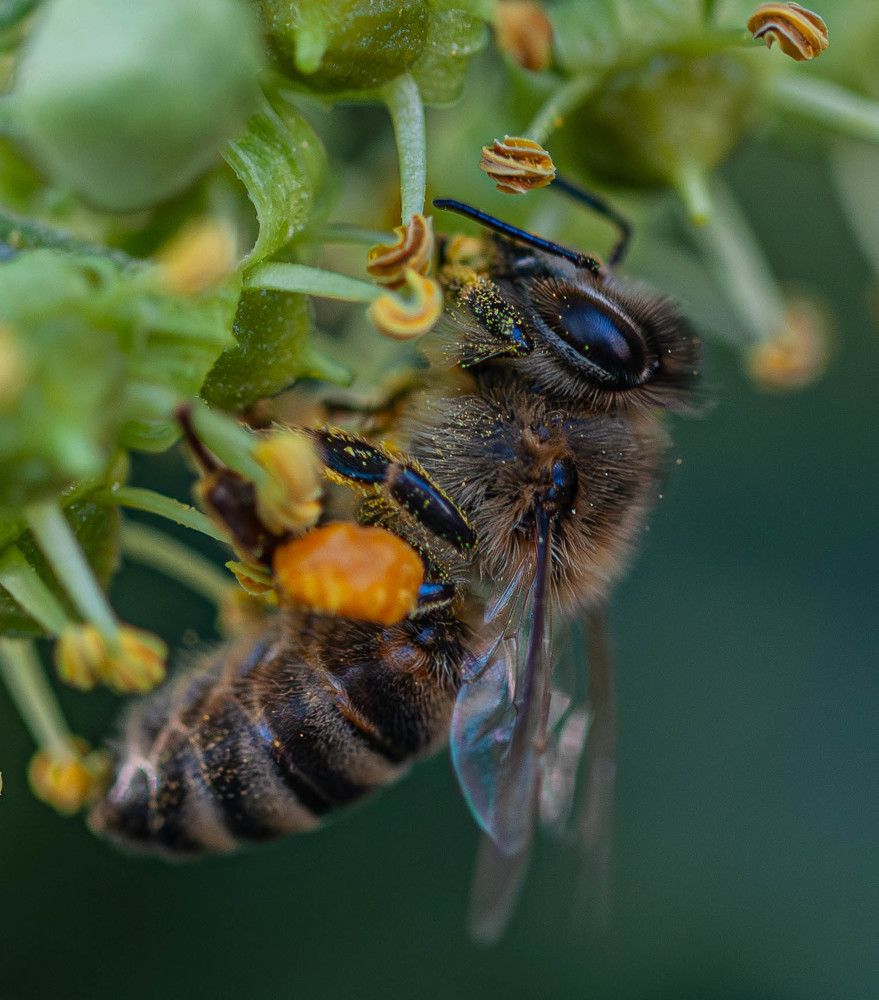 Фотография автора DIMITRIS MPAZIOTOPOULOS