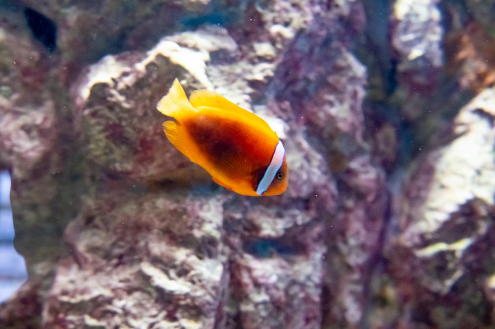 Photograph by Бадретдинов Виталий