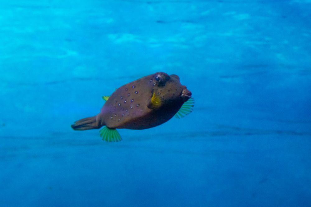 Photograph by Бадретдинов Виталий