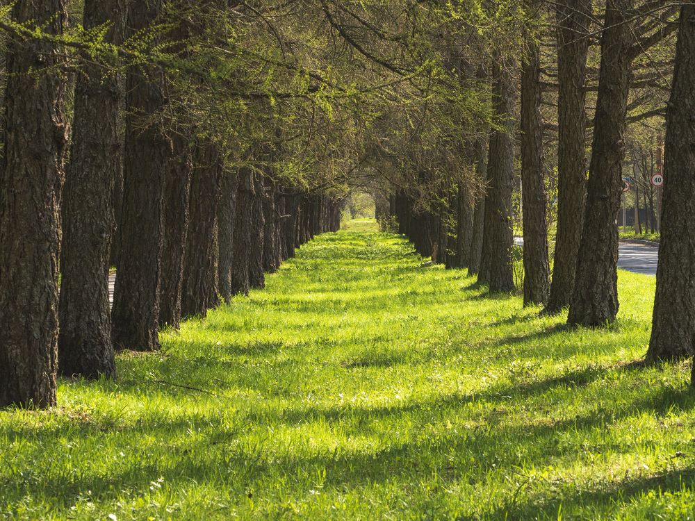 Photograph by Надежда Михайлина