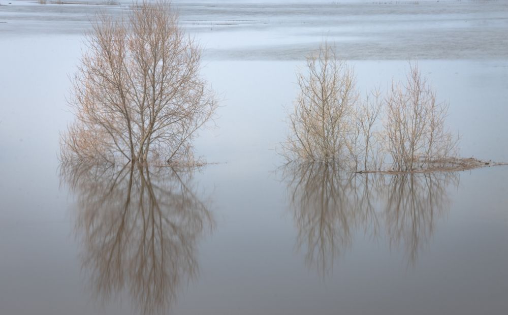 Photograph by Татьяна Романова