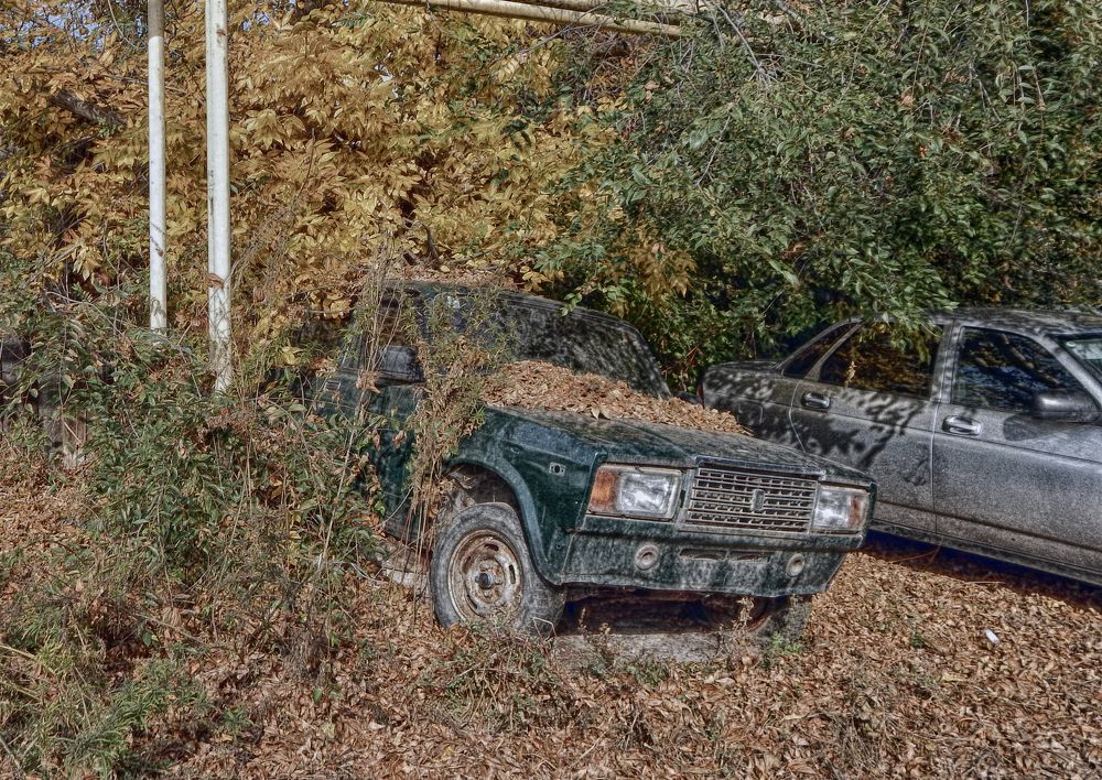 Фотография автора Валерий Цуркан