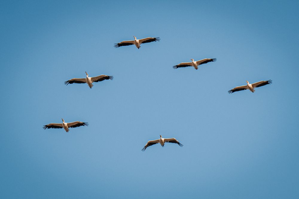 Photograph by Думнова Алёна