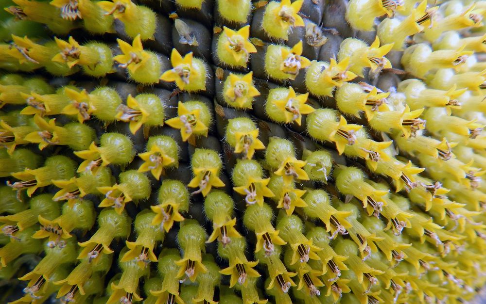 Фотография автора Валерий Цуркан