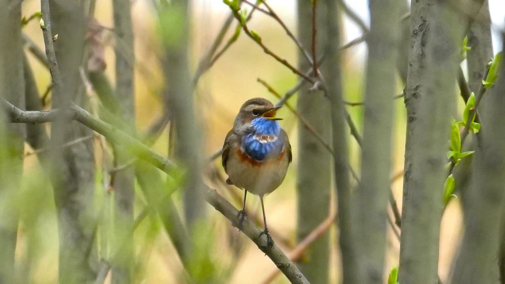 Photograph by Михаил Трусов