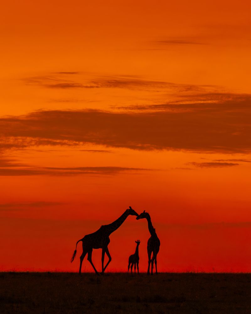 Photograph by Jayakumar MN