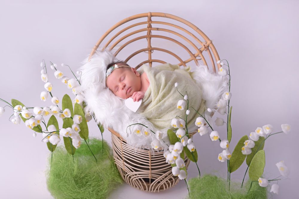 Фотография автора Katerina Zlateva