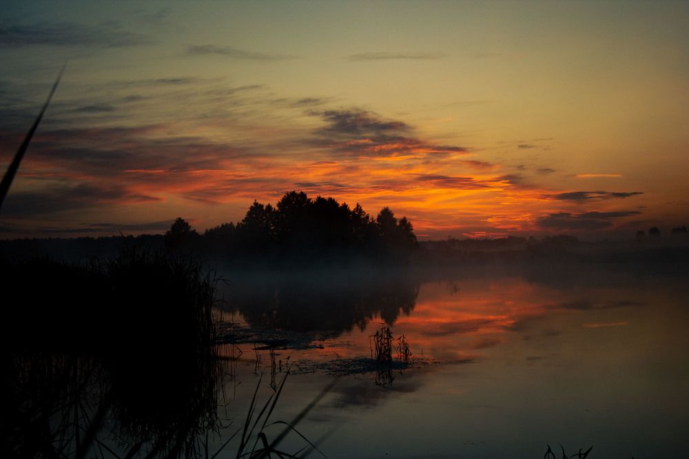 Фотография автора Елена Запертова
