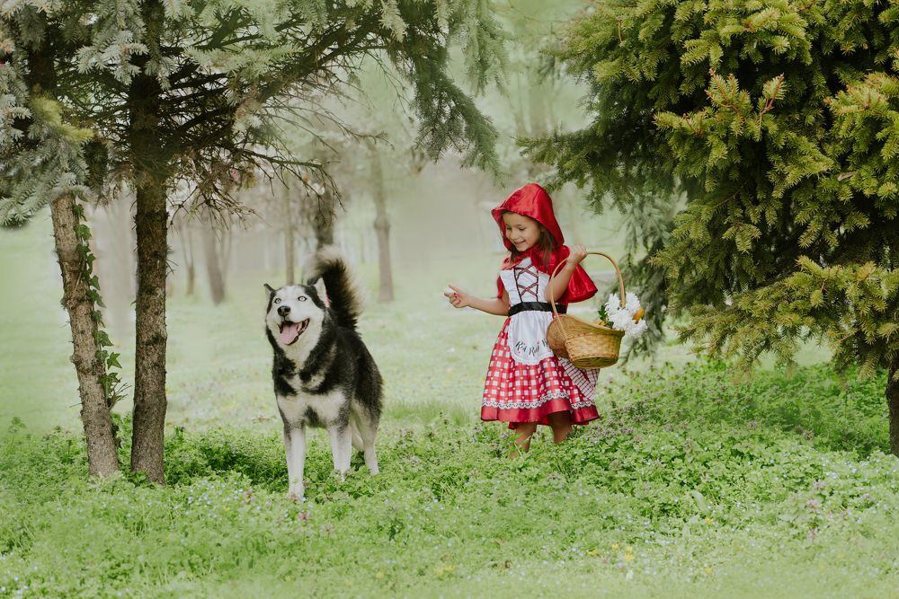 Фотография автора Katerina Zlateva