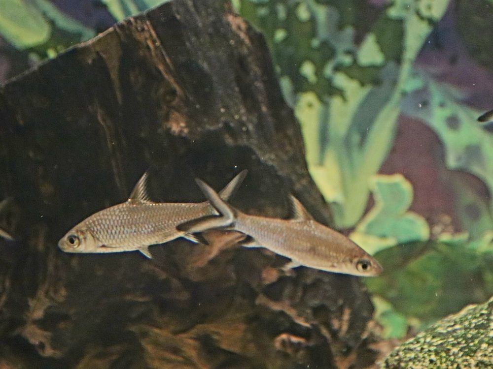 Photograph by Evgenii Askerov