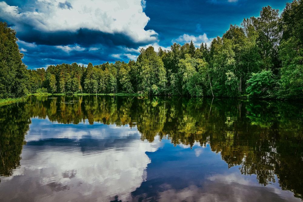 Photograph by Сергей Зимин