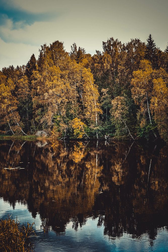 Photograph by Сергей Зимин