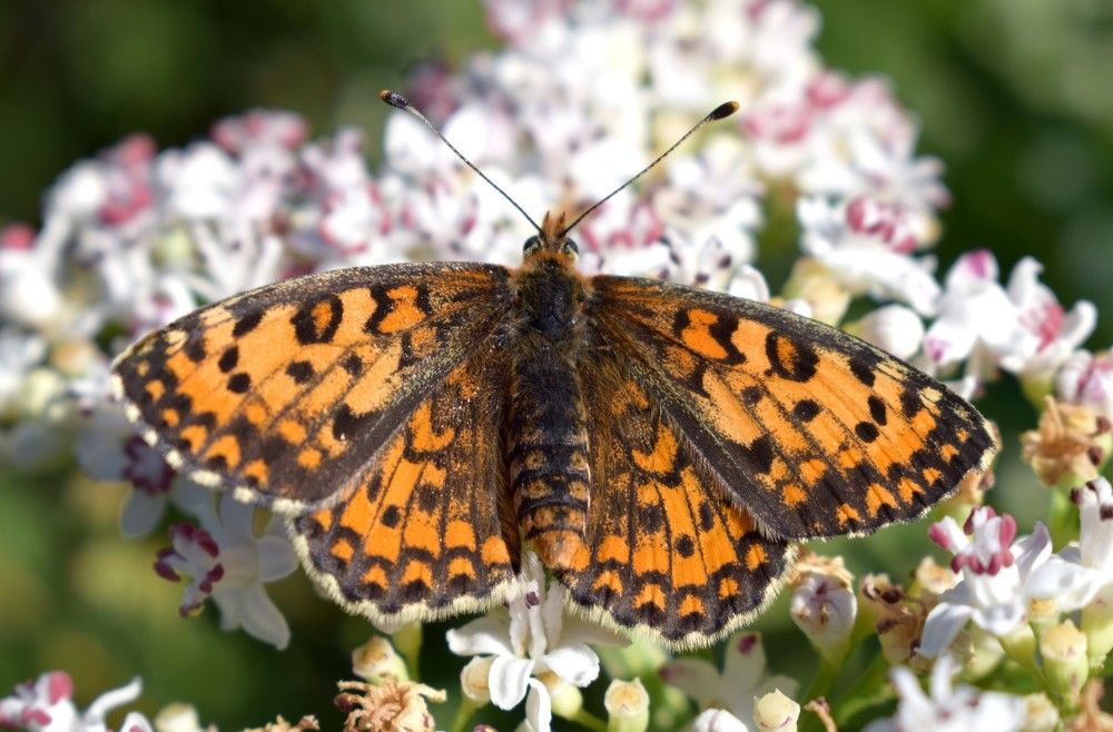 Photograph by Vyacheslav Popov