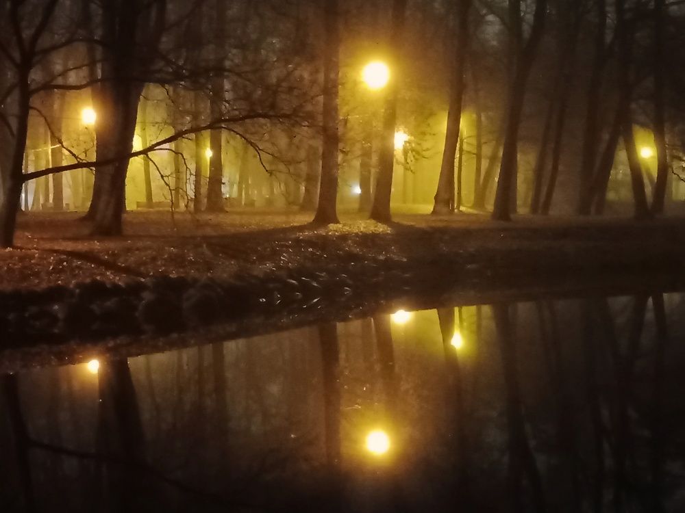 Photograph by Людмила Викулова