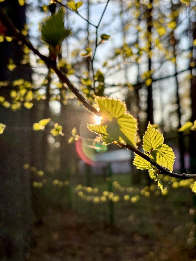 Photograph by Татьяна