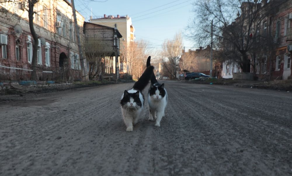 Photograph by Дарья Юсарева