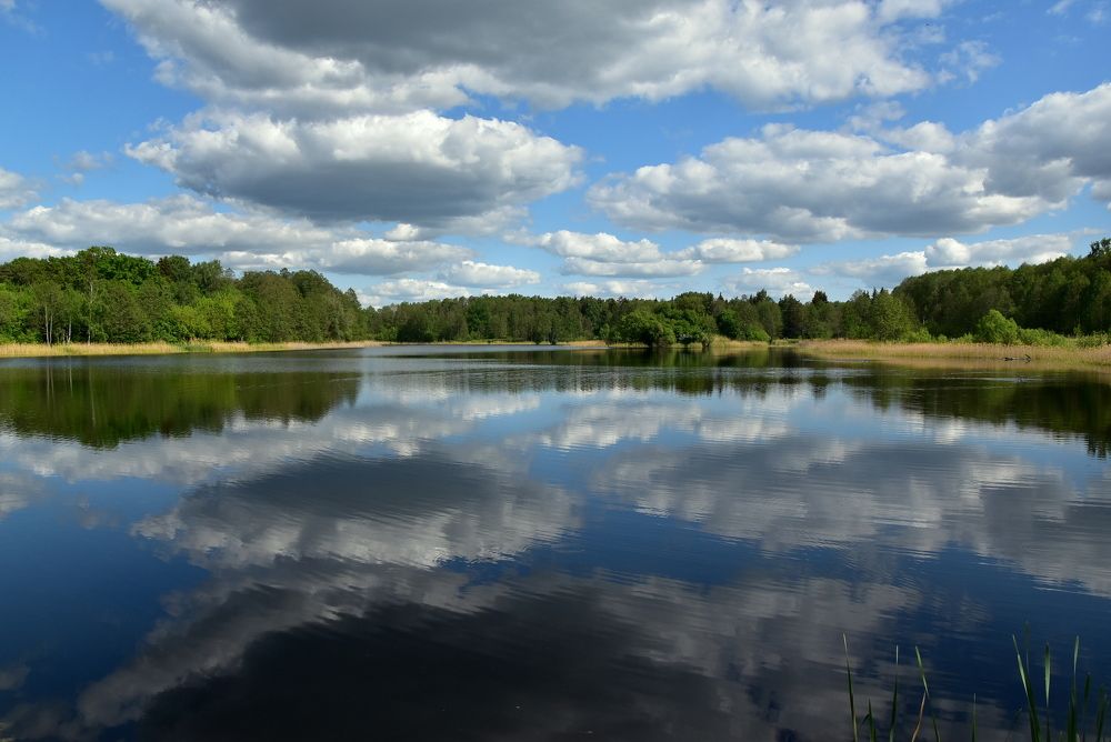 Photograph by Dimon Grinih