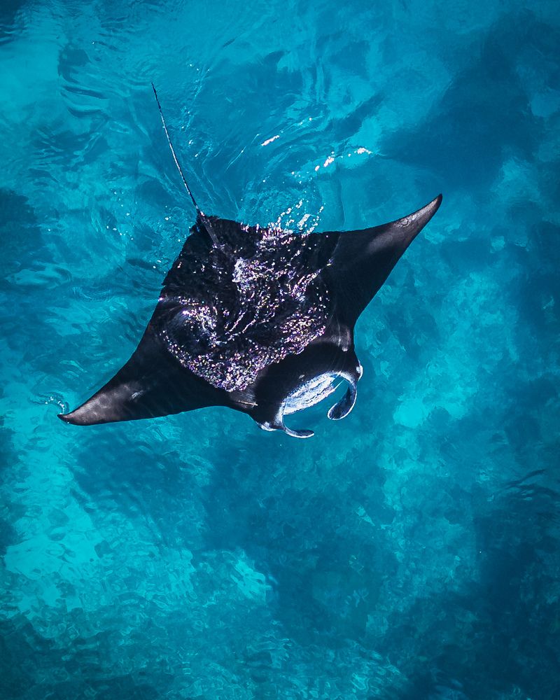 Photograph by Evgeny Pochaev