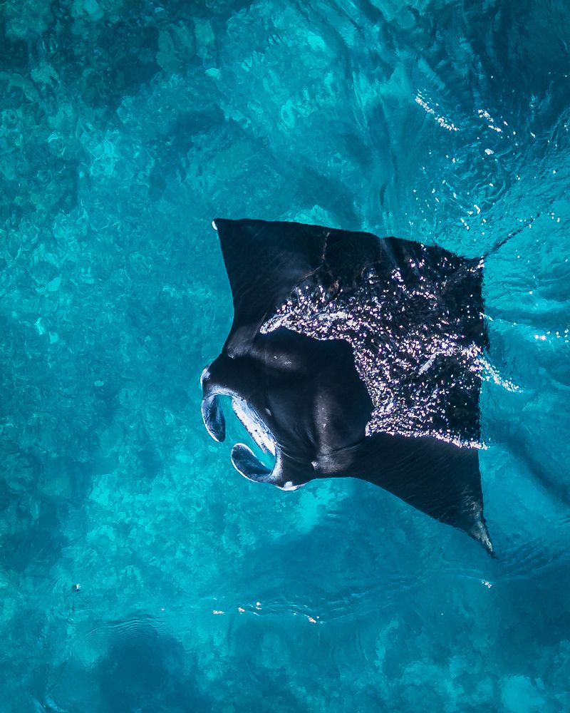 Photograph by Evgeny Pochaev