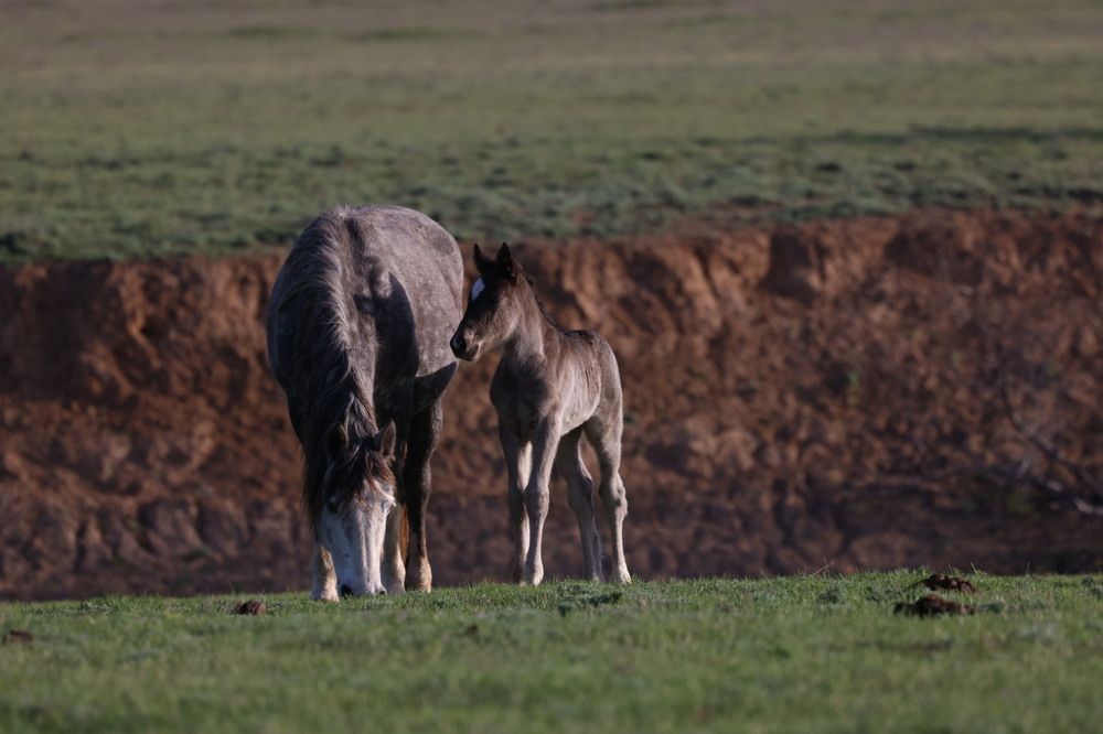 Photograph by Ольга Одаренко