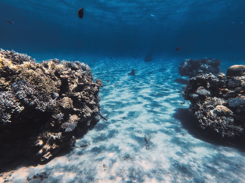 Photograph by Артем Забелинский