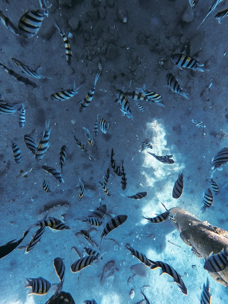 Photograph by Артем Забелинский