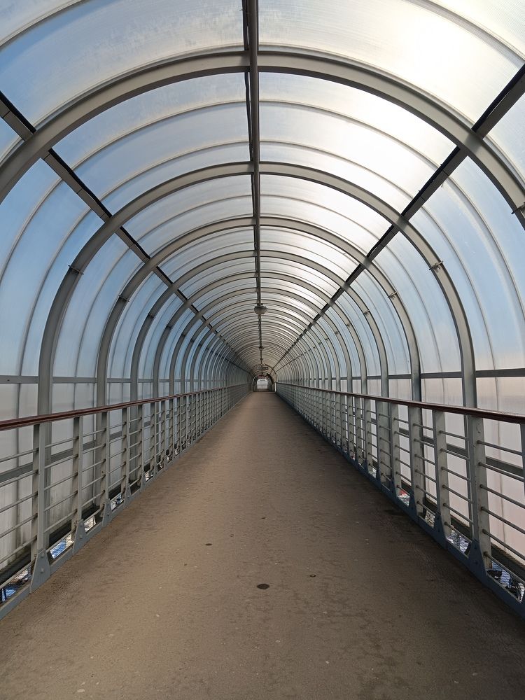 Photograph by Екатерина Одинцова