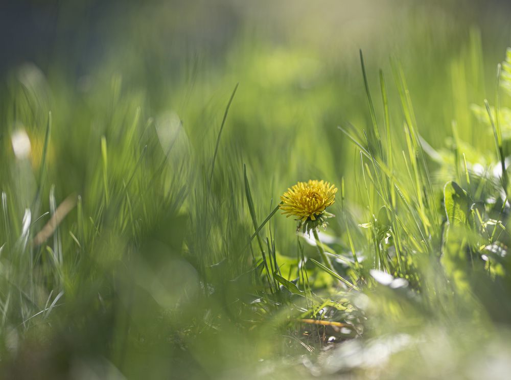 Фотография автора Дмитрий Кетов