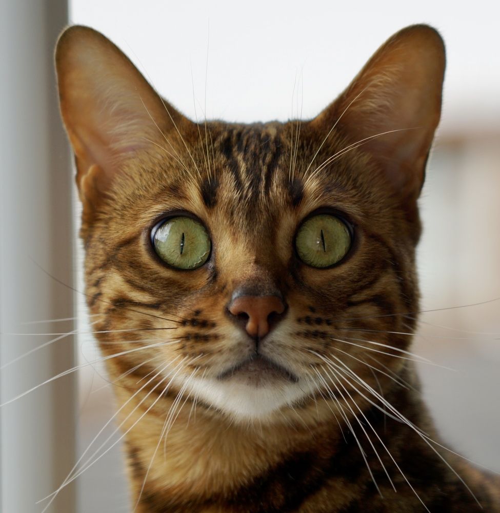 Фотография автора Liudmila Kiermeier