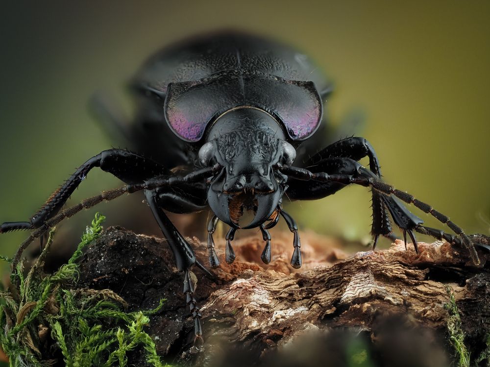 Photograph by савицкий олег