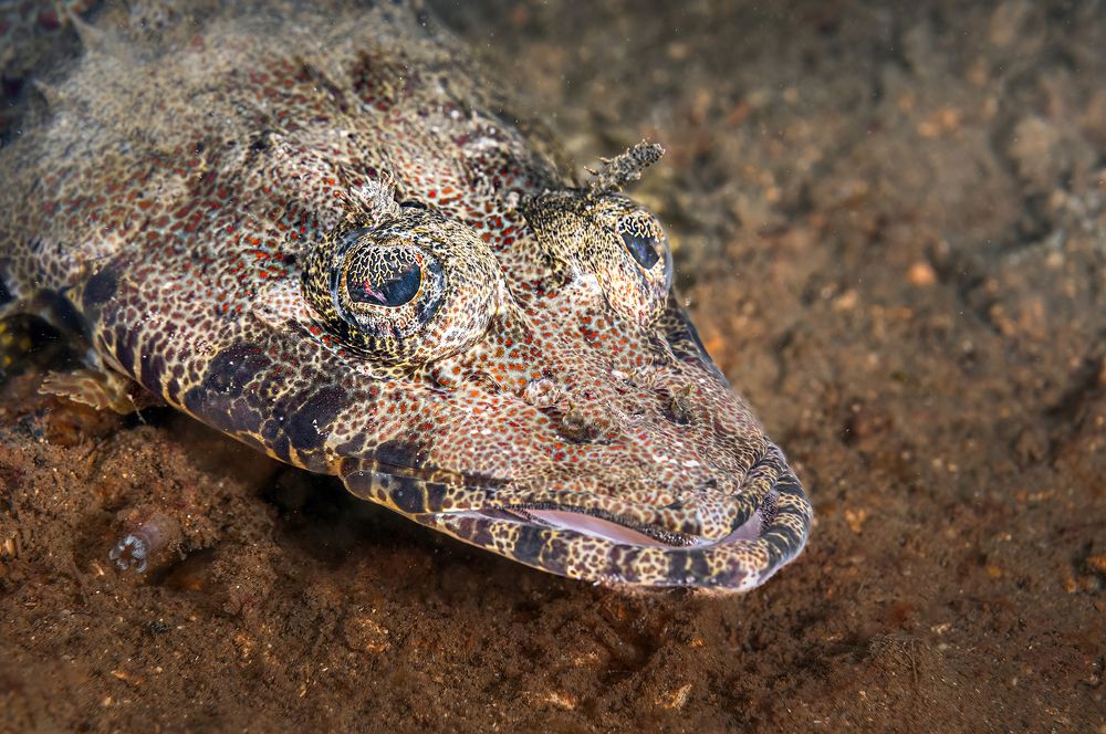 Photograph by Сергей Булгаков