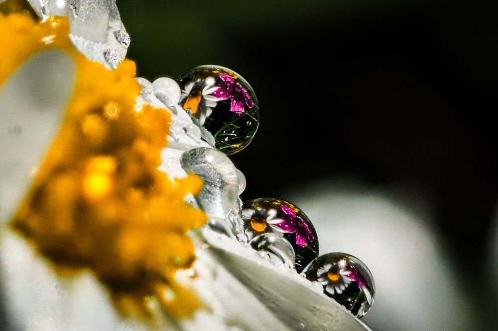 Photograph by Serdar AVCI