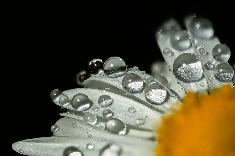 Photograph by Serdar AVCI