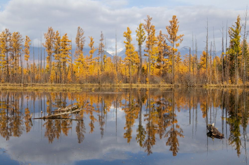 Photograph by Koledova Irina