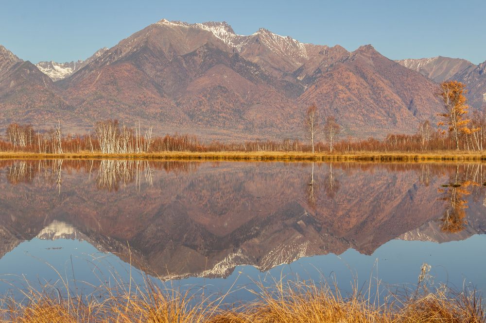 Photograph by Koledova Irina