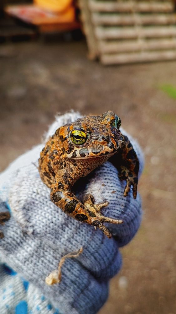 Photograph by Ольга Серова