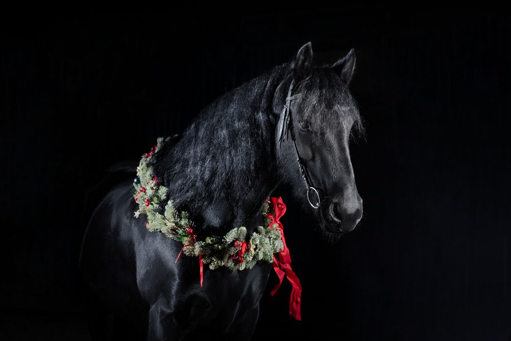 Photograph by Ксения Далишнева