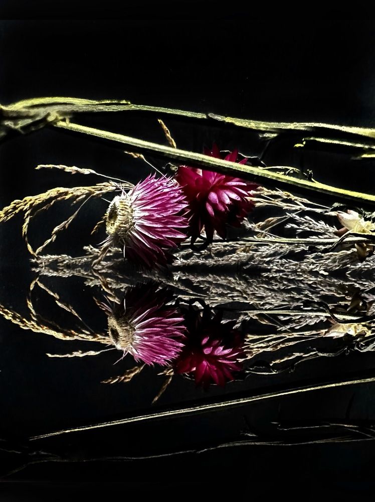 Photograph by Татьяна Казанкова