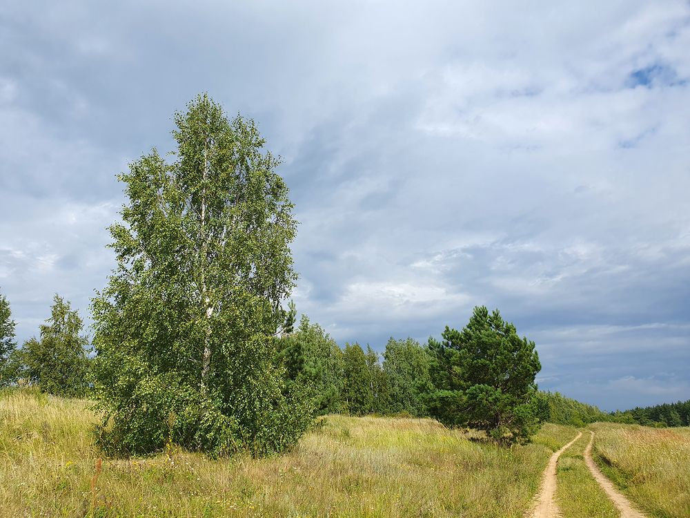 Фотография автора Надежда Лисицына