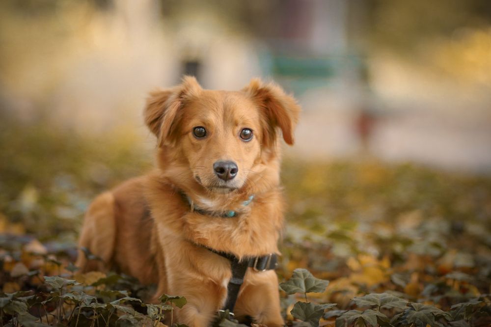 Photograph by Anastasia