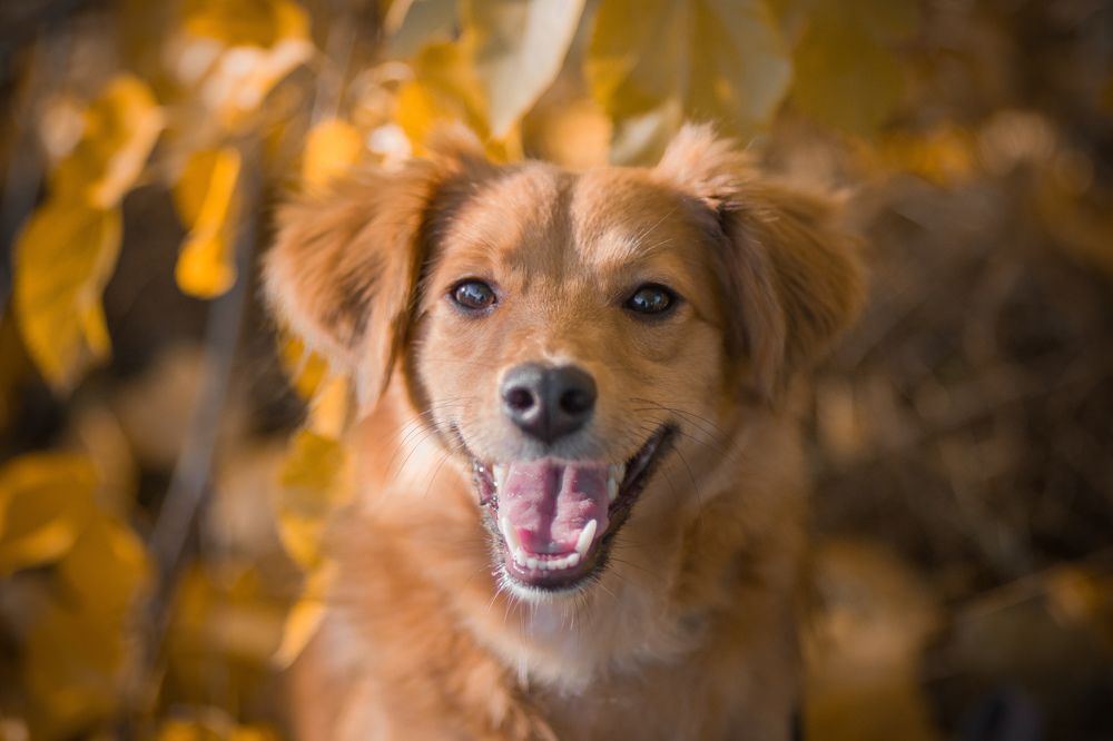 Photograph by Anastasia