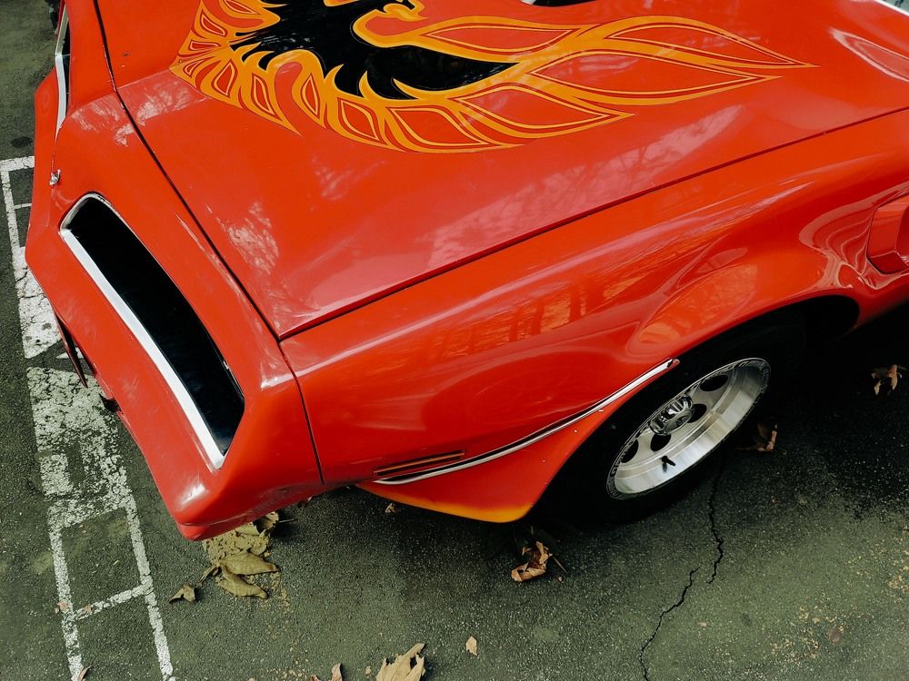 Photograph by Amin Jamei