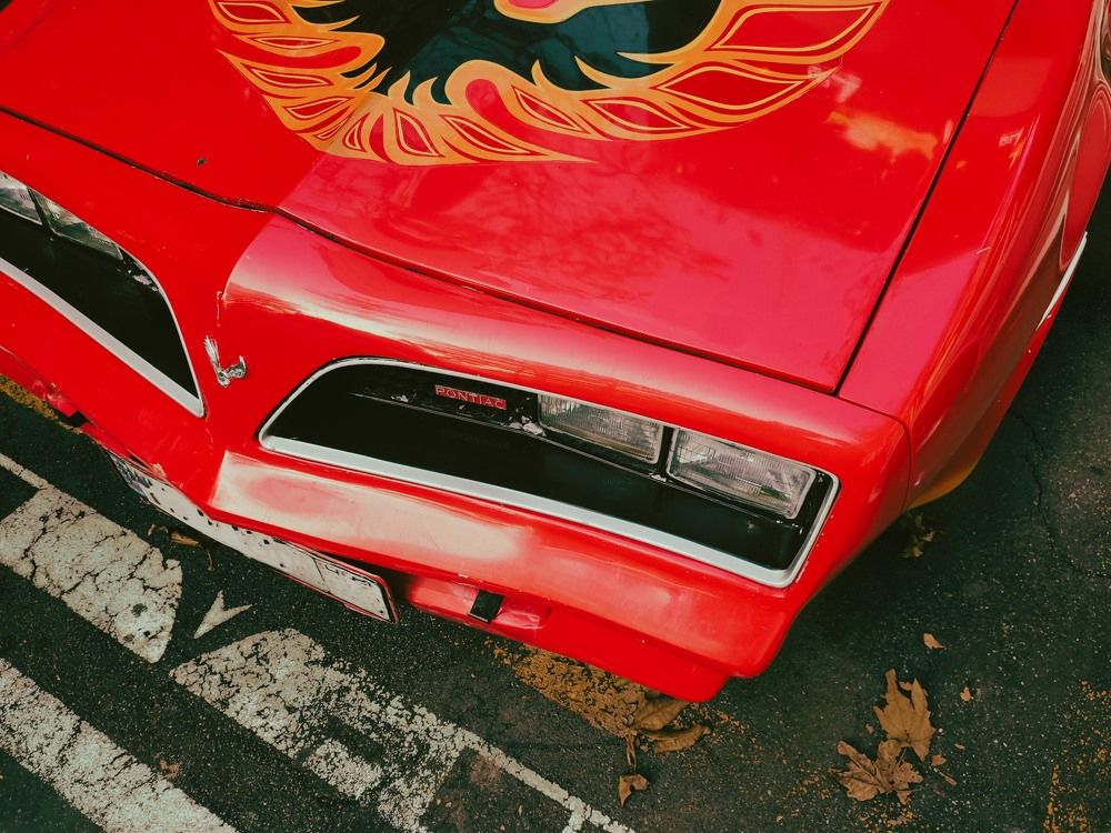 Photograph by Amin Jamei